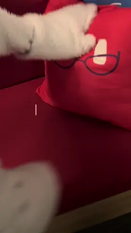 bom dia grupo, tive um sonho feliz essa noite e vcs? 👁️👄👁️ LUTE PELO SEU SCORE! #teamboletinho HOJE, 18h