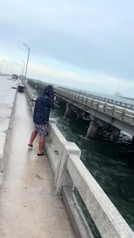 Tarpon fishing in the rain #skywaymisfits #skywayfishingpier #skywaybridge #reelqualitysrq #xyzbca #fishitwell #sharkvato #tampabay #fishing #tarpon #fish #fisherman #tarponfishing #seaguarfluorocarbon #fishtok #fishingtiktok #bridgemonsters