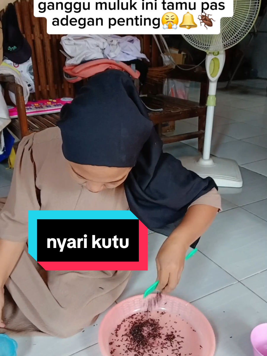 nyisir kutu #dramaemak #belpintubunyi #ganggutamu #keseharianemak 