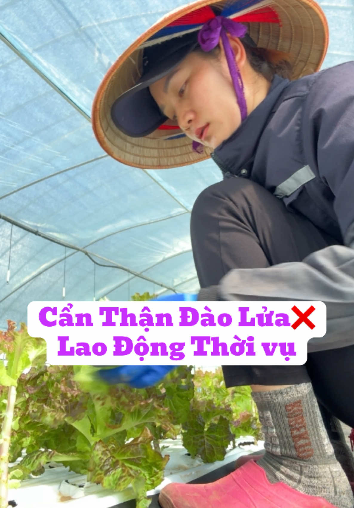 Cẩn thận đào lửa #xuhuong #vuhongphuong 