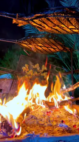 #مزرعه #ونسه_وتغير_جوو😁😂 #شباب #سمج #اجواء_الصيف #اكسبلو 