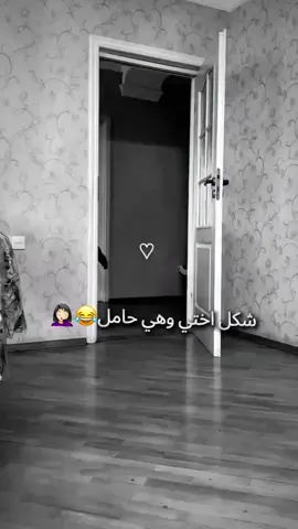 #مالي_خلق_احط_هاشتاقات #مالي_خلق_احط_هاشتاقات #تخمطين_اعتبرج_فانزه_الي💆🏻‍♀️ #طششونيي🔫🥺😹💞 #شعب_الصيني_ماله_حل😂😂 