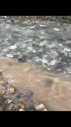 Vdအလွတ်တောင်းထားတဲ့လူတေတွက်#views #fyppppppppppppppppppppppppppppppppppp 