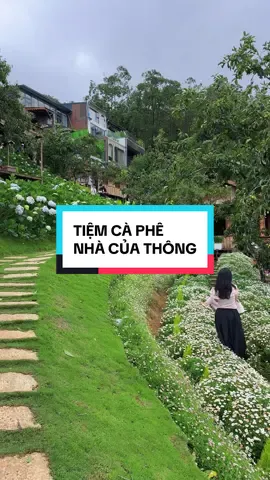Tiệm cà phê Nhà của thông #haristudiodalat #haisony #đàlạt #anhchupanhdalat #checkindalat #haristudio #chuphinhdalat #chupanhdalat #tiemcaphenhacuathong #nhacuathong 