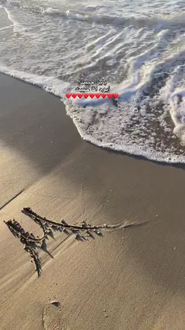🌊❤️❤️ #fypシ゚viraltiktok #libya🇱🇾 #ليبيا_سوسه_شحات_لبيضاء 