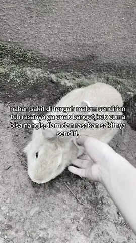 #foryoupage #masukberandafyp #sadvibes 