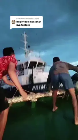 Membalas @sanssaelahh tante gak tuh 😭😭😭 masih umur 26 loo yaa 😭😭😭, TANTE GIGIT NANTI 😂😂😂🙏🙏🙏#fyppppppppppppppppppppppp #pelaut #pelautpunyacerita⚓ #fyp 