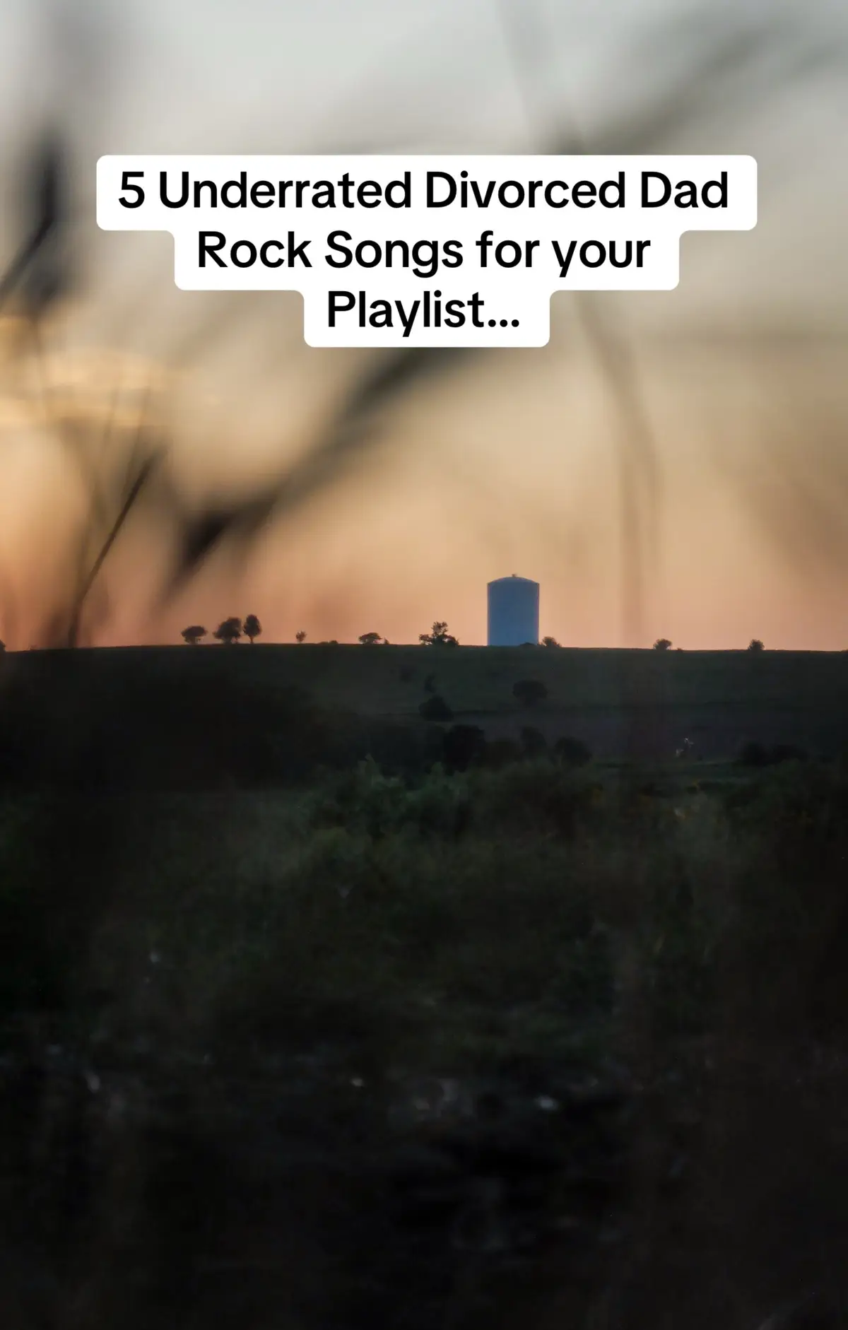 If you like these I will do more 🤘 🎸  #divorceddadrock #hinder #staind #aaronlewis #musictok #playlist #musicsuggestions 