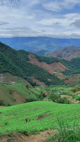 Em theo mẹ lên nương #binhyen #rungnuitaybac 