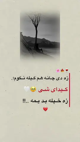 💔🥺🥺💔😭😭💔🥺#foryou #foryoupage #fypシ #evroneforyoupage #fyp #fypシ #1millionviews #foryoupage❤️❤️ #fy #foryou #foryou #foryou 