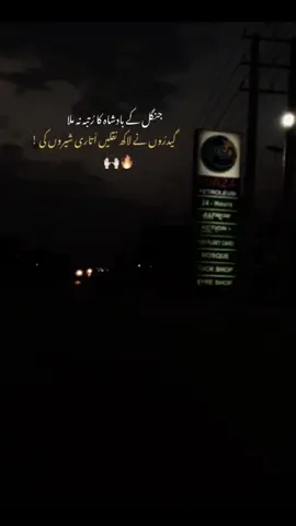 JBH🔥#foryou #foryoupage #viral #explore #hare__mughalzada #foryou #typ #viralvideo 