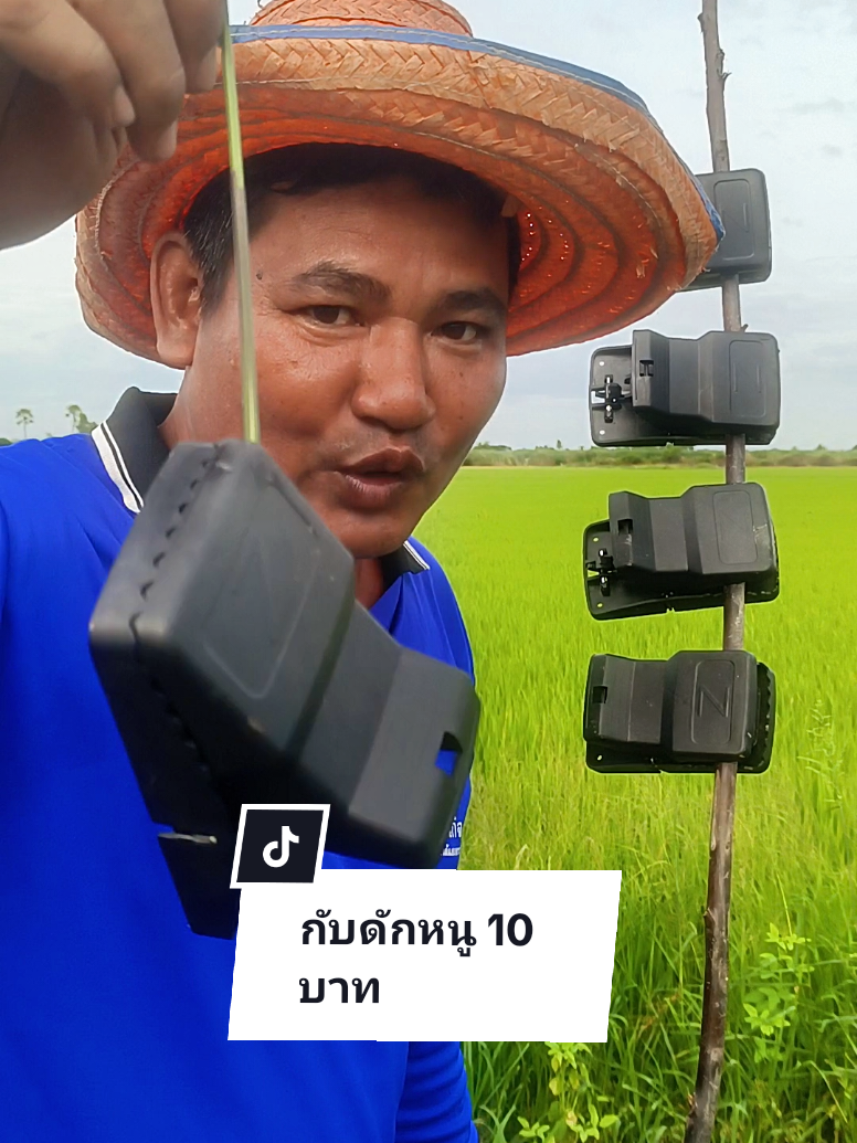 ที่ดักหนู กับดักหนู อุปกรณ์ดักหนู กับดักหนูบ้าน แบบสปริง