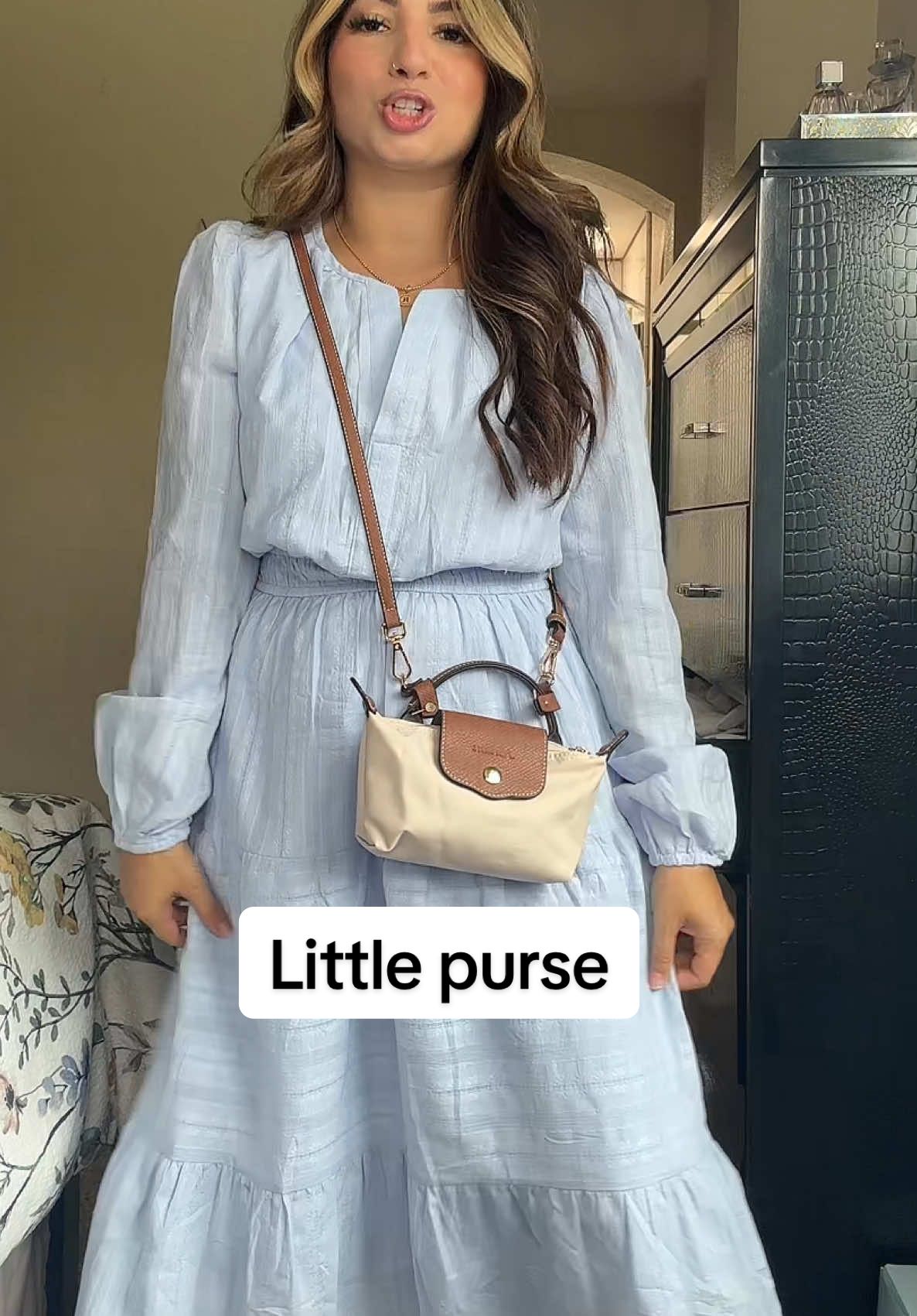 Replying to @Rubab 🍉 Beauty & more #purse #bag #accessories #tiktokshopcreatorpicks 