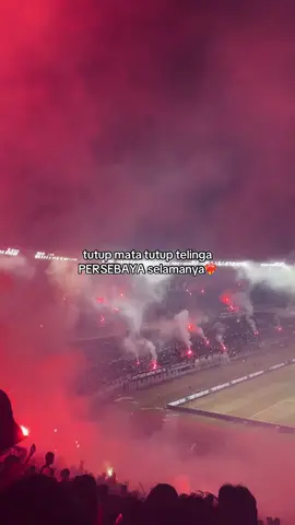 persebaya heart and soul🕊️#persebaya #heroescityleague 