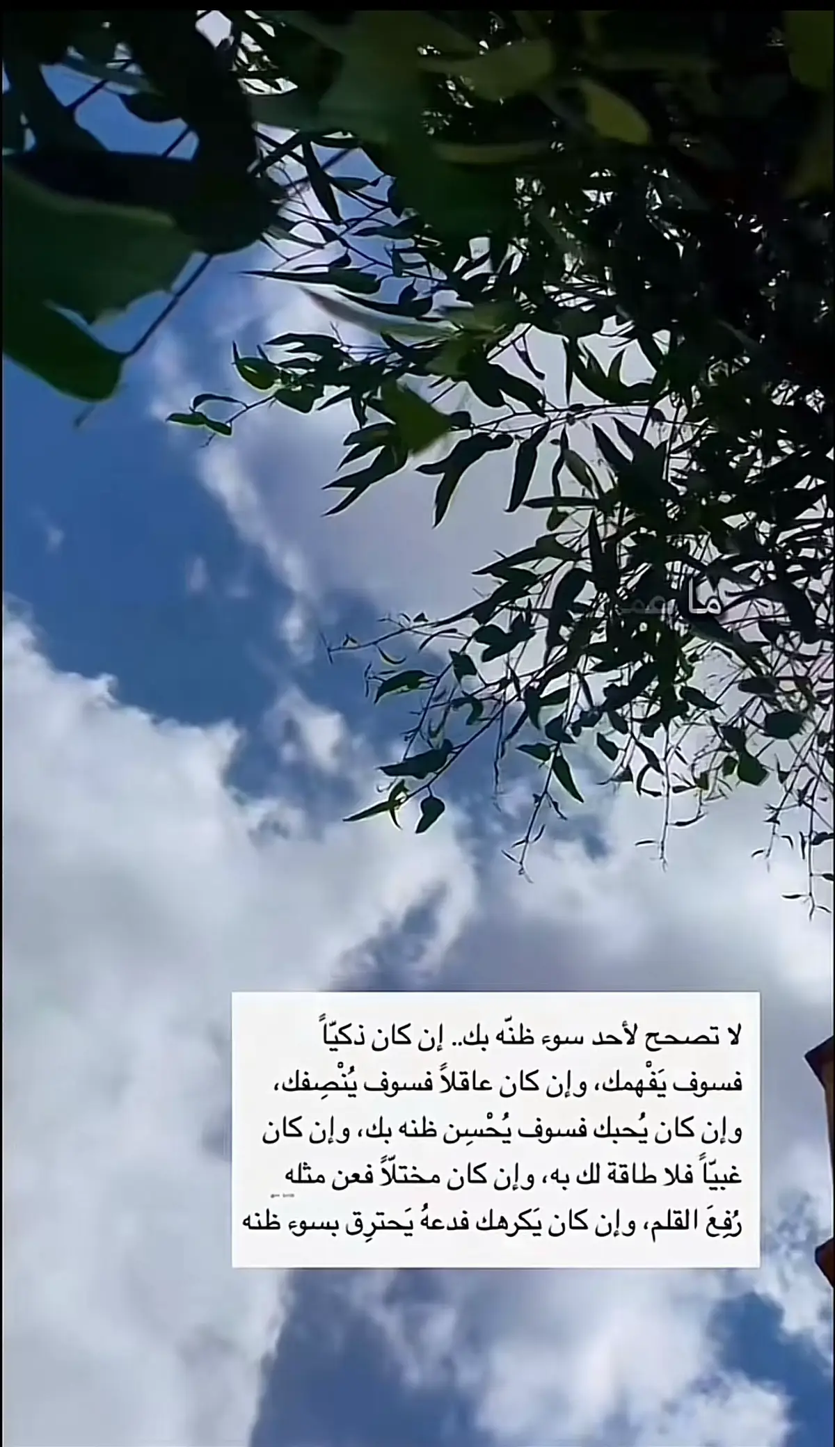 #ترند #اكسبلور_explore #اكسبلور_explore_مشاهير_التك_توك 