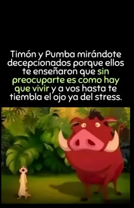 #tiktok #paratiiiiii #memes #timonypumba #hakunamatata 