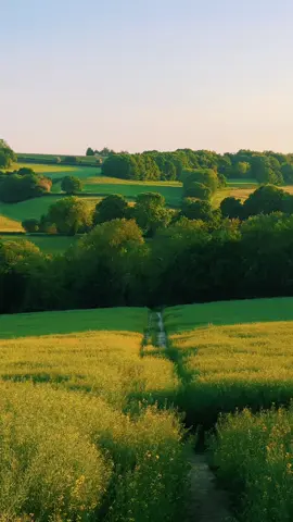 Summer Lanes 🍃. // #fyp 