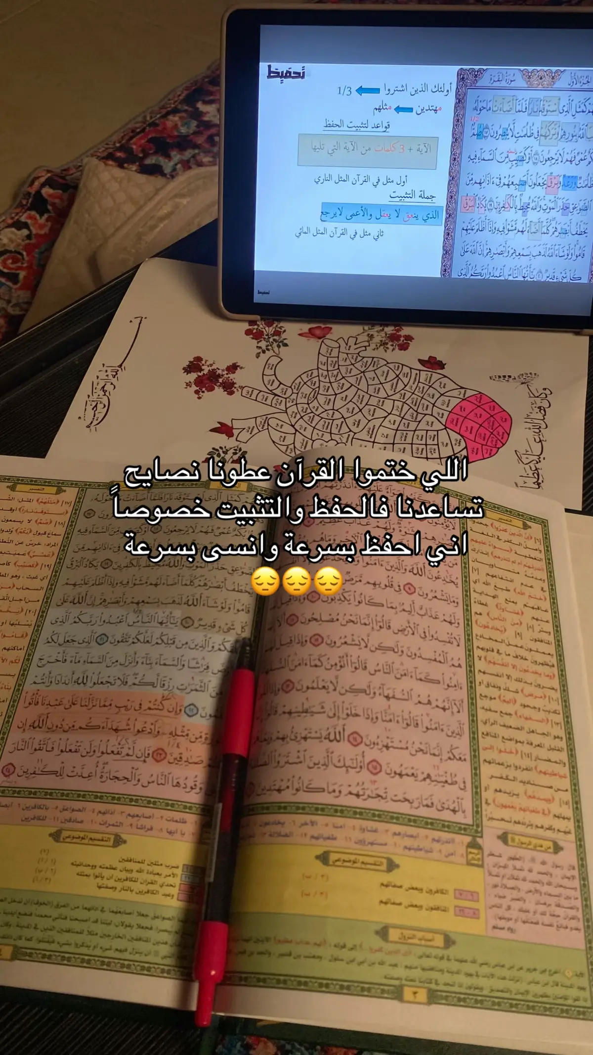 #creatorsearchinsights #foryou #explore #توكل_على_الله_دائما #القرآن #حفظ_القرآن 