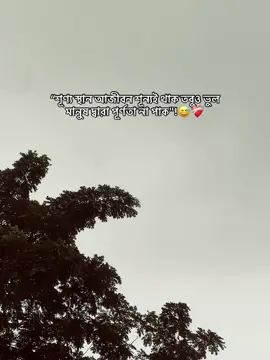 শূণ্য স্থান আজীবন শূন্যই থাক তবুও ভুল মানুষ দ্বারা পূর্ণতা না পাক