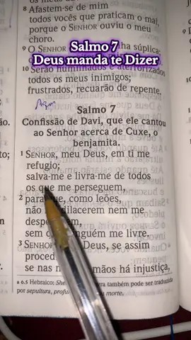 Deus manda te dizer Salmo 7#versiculosbiblicos #palavradedeus #palavrabiblica #salmos 