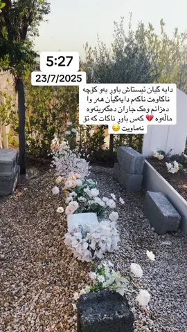 🥺-#foryou #بنەمالەی_حاجی_کانەبی 