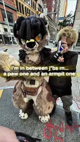happy wednesday @usikudev #furry #furryfandom #fyp 