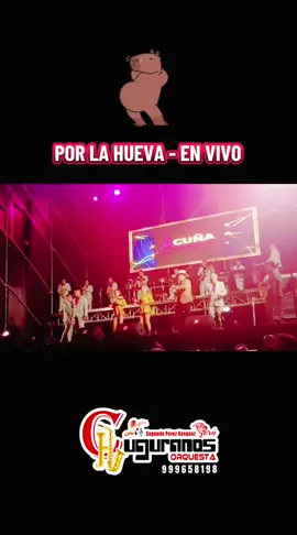 @Chuguranos Orquesta Oficial  #locutor #animador #porlahuevafué