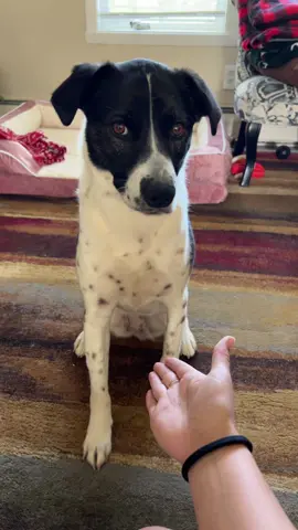 Cannot get her to do this with me 
