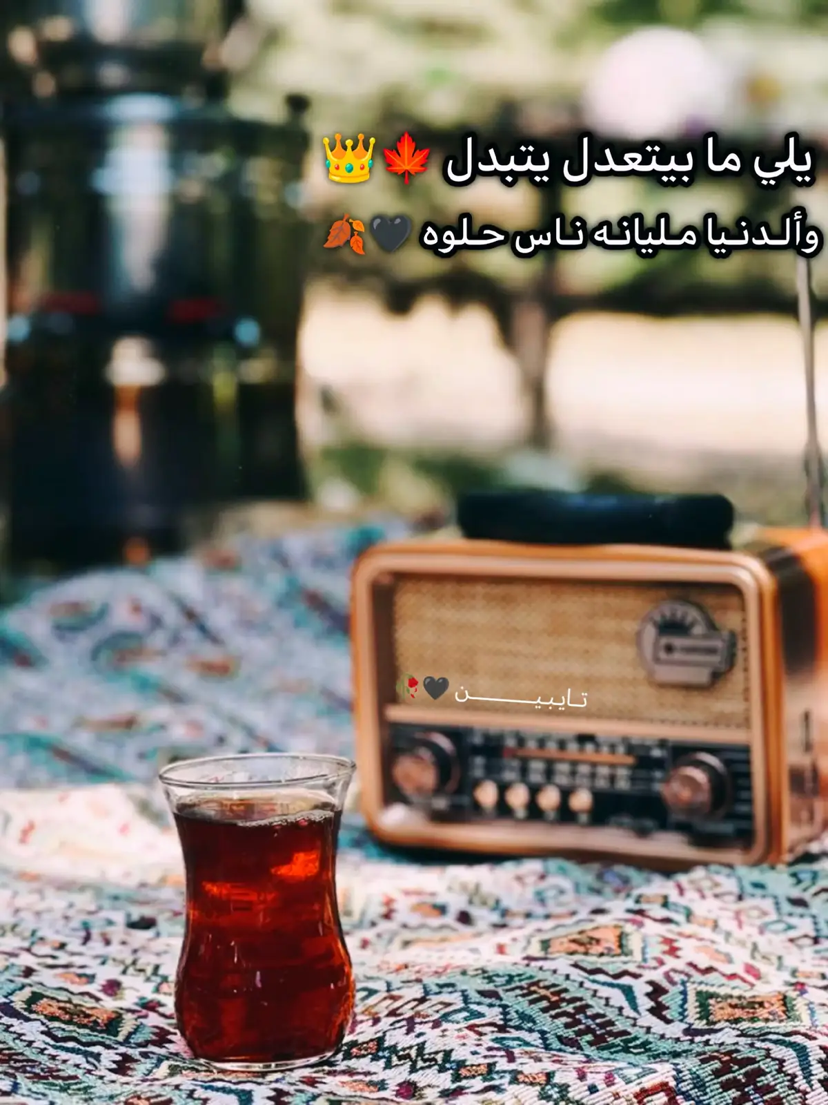 #يلي ما بيتعدل يتبدل 🍁👑 #وألـدنـيا مـليانـه نـاس حـلوه 🖤🍂