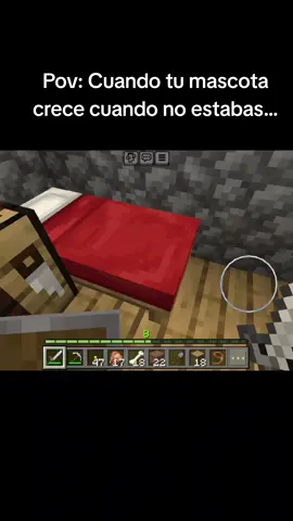 Pepito ya está grande 🤧 #mimundodeminecraft #Minecraft #fyp #minecraftamigos #bedrock #parati 