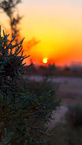 روح كمل غيبتك....🚶😣💔 . عباره توصف الفيديو.......؟ #تصويري_احترافي_الاجواء👌🏻🕊😴 #اقتباسات_عبارات_خواطر #مجرد________ذووووووق🎶🎵💞 #تصويري 