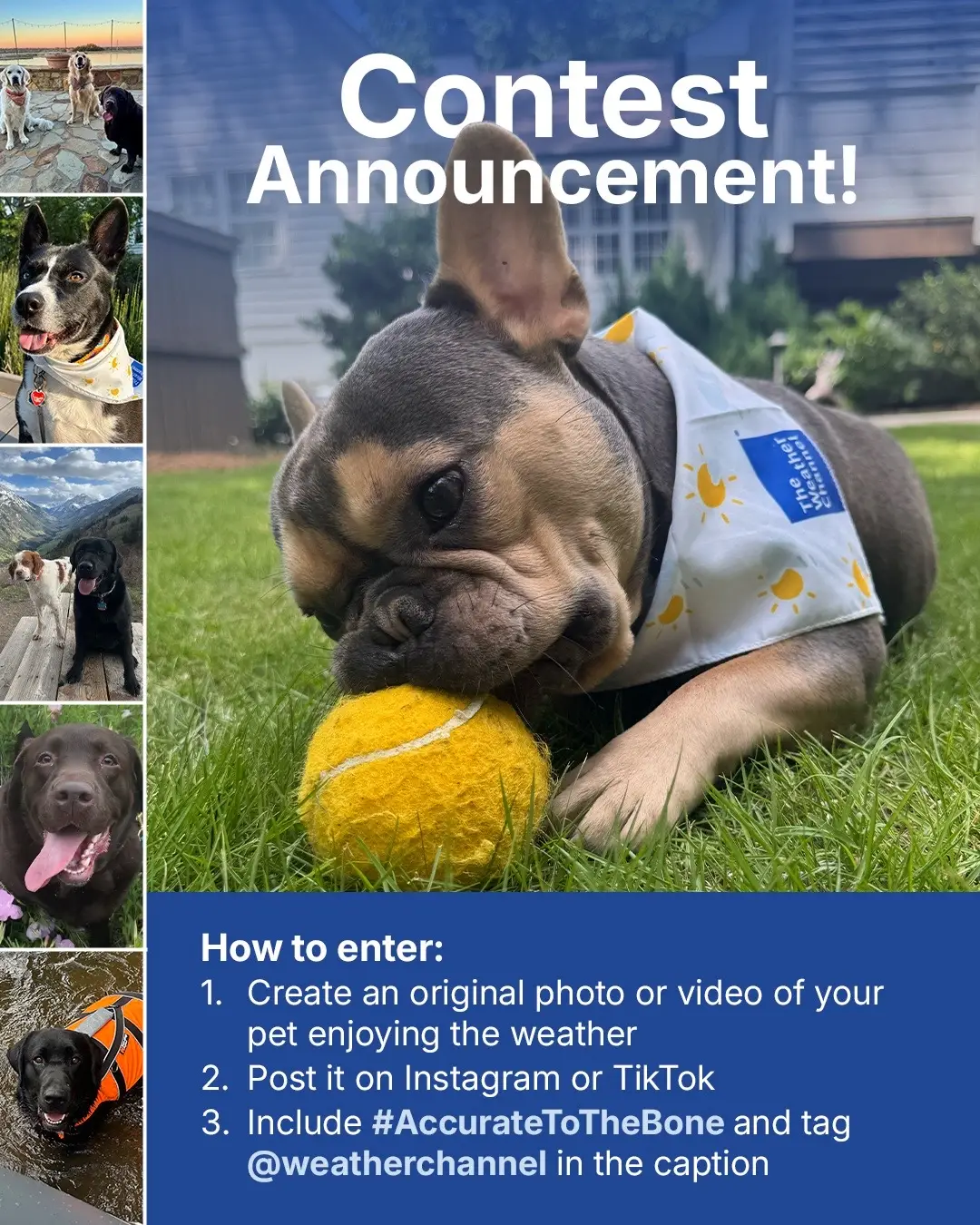 Does your dog love sunshine, snow or splashing in puddles?🐾☀️📸 Show us your pup enjoying the weather for a chance to WIN! Contest open now! Upload your cutest, most weather‑obsessed pet moment and win! Full details & eligibility at the link in bio. #AccurateToTheBone How to enter: 1️⃣ Create an original photo or video of your pet enjoying the weather 2️⃣ Post it on Instagram or TikTok 3️⃣ Include #AccurateToTheBone and tag @weatherchannel in the caption 🎁 25 WINNERS will be chosen — each gets: 1‑year subscription to The Weather Channel Premium The Weather Channel branded pet bandana