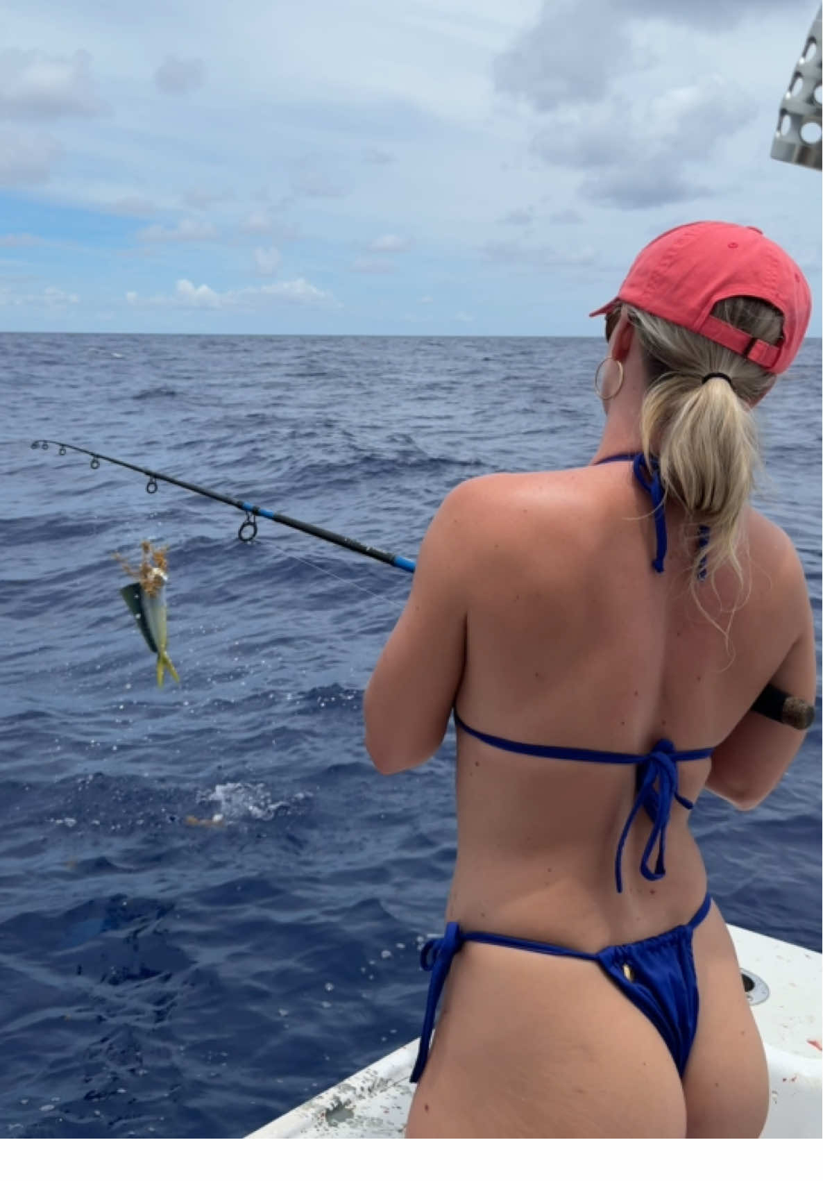 Found a nice school of Mahi 🔥🎣👀 they’re so pretty! Fun fish to catch they jump like crazy 🎣 #fishinglife #fishingtiktoks #fishing #foryou #boat #fishingtrip #fishingadventures 