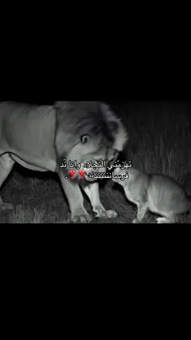 #fyp #bdtiktokofficial #foryou #unfrezzmyaccount #foryoupage #creatorsearchinsights #شعر_غزل #مالي_خلق_احط_هاشتاقات🧢 #شعر #الهاشتاقات_للشيوخ #شعب_الصيني_ماله_حل😂😂 #💕💕💕💕💕💕💕💕💕💕 