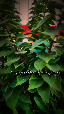 #عباراتكم💔💔؟ #عبارات_حزينه💔 #نزل_اخر_شي_نسخته🥀💔 #اجواء_خيالية_تصويري #تصميم_فيديوهات🎶🎤🎬 