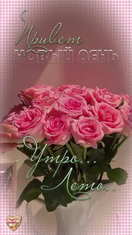 Доброе утро ,привет новый день🌞#доброеутро #сдобрымутром#привет#хорошегодня#дрброелетнееутро