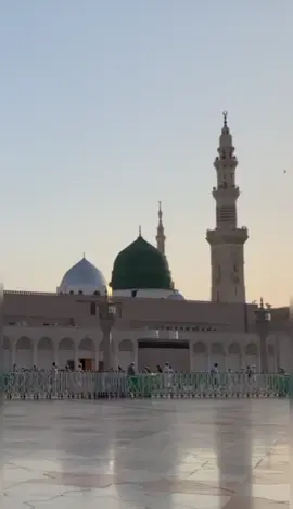 سبز گنبد کی ایک جھلک دل کو سکون دیتی ہے... یہ صرف ایک منظر نہیں، یہ عشقِ رسول ﷺ کا سمندر ہے۔ اللّٰہ ہمیں بار بار مدینہ کی حاضری نصیب فرمائے... آمین 🤲💚 📌 ایسی مزید ایمان افروز ویڈیوز کے لیے چینل کو سبسکرائب کرنا نہ بھولیں۔ 💖 ثواب کی نیت سے ویڈیو کو شیئر کریں۔#مدینہ_منورہ   #سبز_گنبد   #روضہ_رسول   #Madina   #GreenDome   #NaatSharif   #IslamicVideo   #YaRasoolAllah   #MadinaLove   #PeaceInMadina   #NoCopyrightNaat   #SubscribeForMore   #Shorts