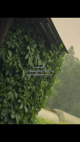 #real #cinematic #щп 