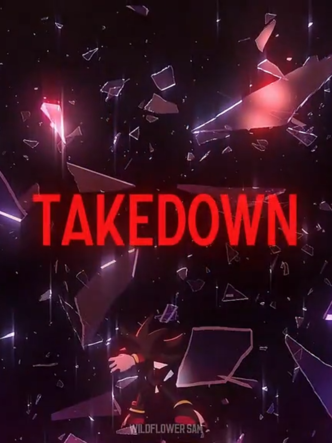 Takedown X It's Going Down (R1LD Mashup) - Shadow The Hedgehog | Team Dark #shadow #shadowthehedgehog#takedown #kpopdemonhunters #itsgoingdown #descendants #teamdark #rouge #rougethebat#omega #omegatherobot #e123omega #sega #sonic#sonicthehedgehog #shadowdarkbeginnings#edit #viral #lyricsvideo #fyp #estadosunidos🇺🇸 #unitedstates #fypシ゚