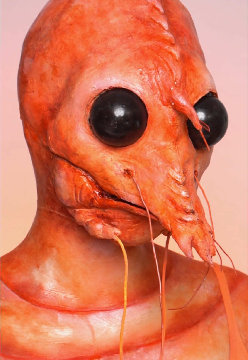 I'm just a PRAWN 🦐 (wait till' the end) #makeup #makeuptransformation #sfxmakeup #sfx #shrimp #fyp 