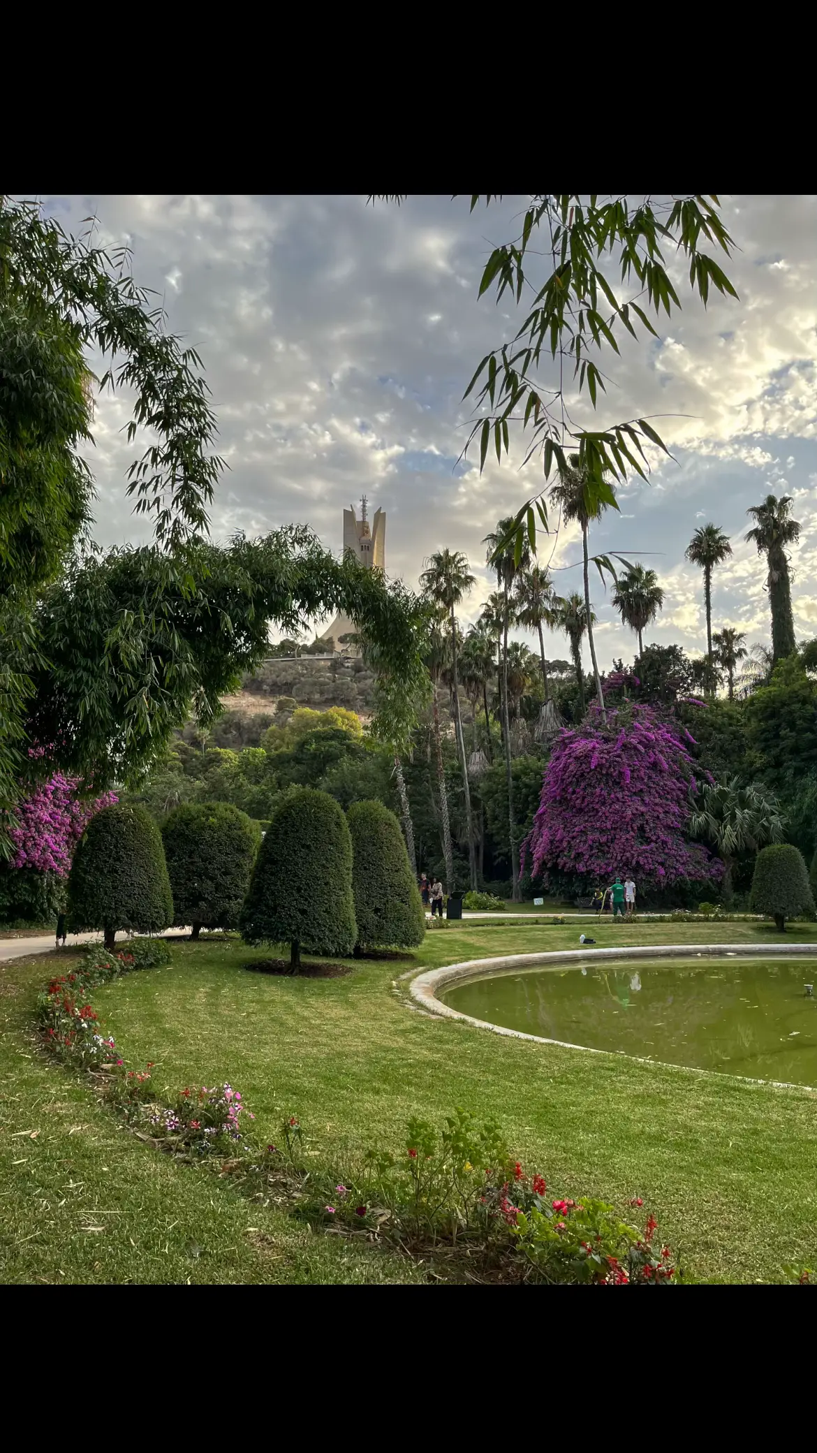 Loved every moment.  #algerie #alger #algiers #garden #photography 