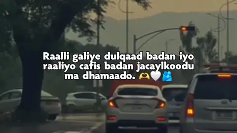 #สโลว์สมูทสปีดสโลว์ #writter_canjeex #foryou 