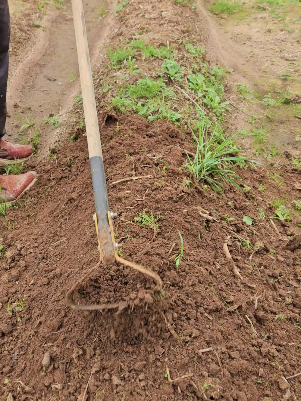 #agro #agricultura #enxada 