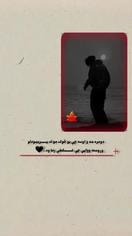 ریفوسټ کوي مننه🫶🫵❤️