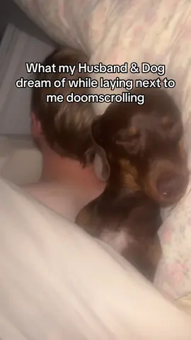 I’m not even joking anymore. @jet2 please change the song. It’s driving me crazy #jet2holidays #funny #dog 