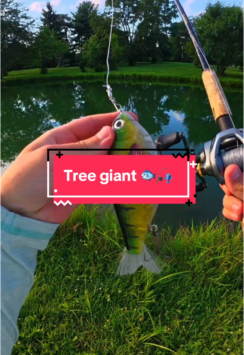 I Fished for the Tree Giant 🐟🎣 #fishing #fishingvideos #capcut 