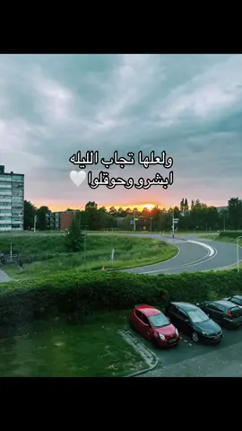 #هولندا🇳🇱 