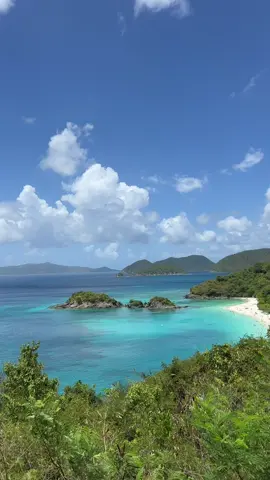 The beaches in St John are UNREAL, I fell in love 🩵 💙  • • • • • • • • • #beach #beaches #travel #caribbean #stjohn #virginislands #Summer #beachvibes most beautiful beach in the world beautiful beach white sand beach Caribbean travel traveling to the Caribbean traveling to St John beautiful ocean 