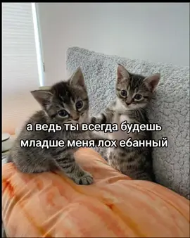 скинь ему:)