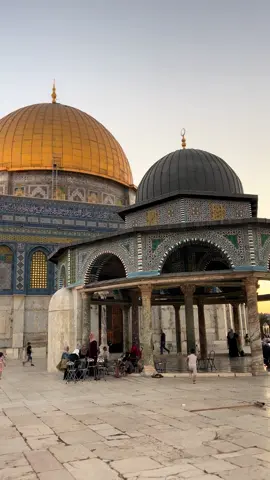 #لقدس #المسجدالاقصى #explore #foryou #fyyyyyyyyyyyyyyyyyyy 